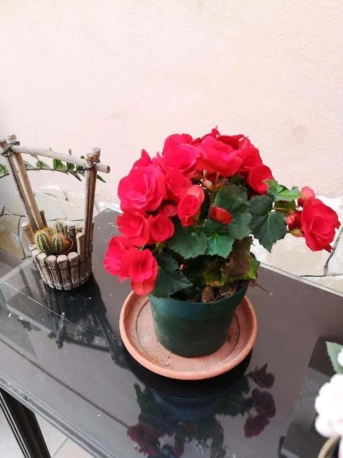 ** Bed & Breakfast B&B Casa Valeria Catania Italy